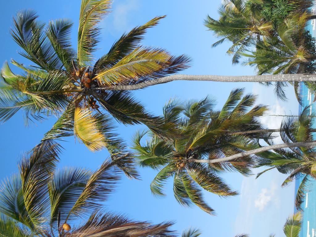 Swahili Beach Resort Zanzibar Dış mekan fotoğraf