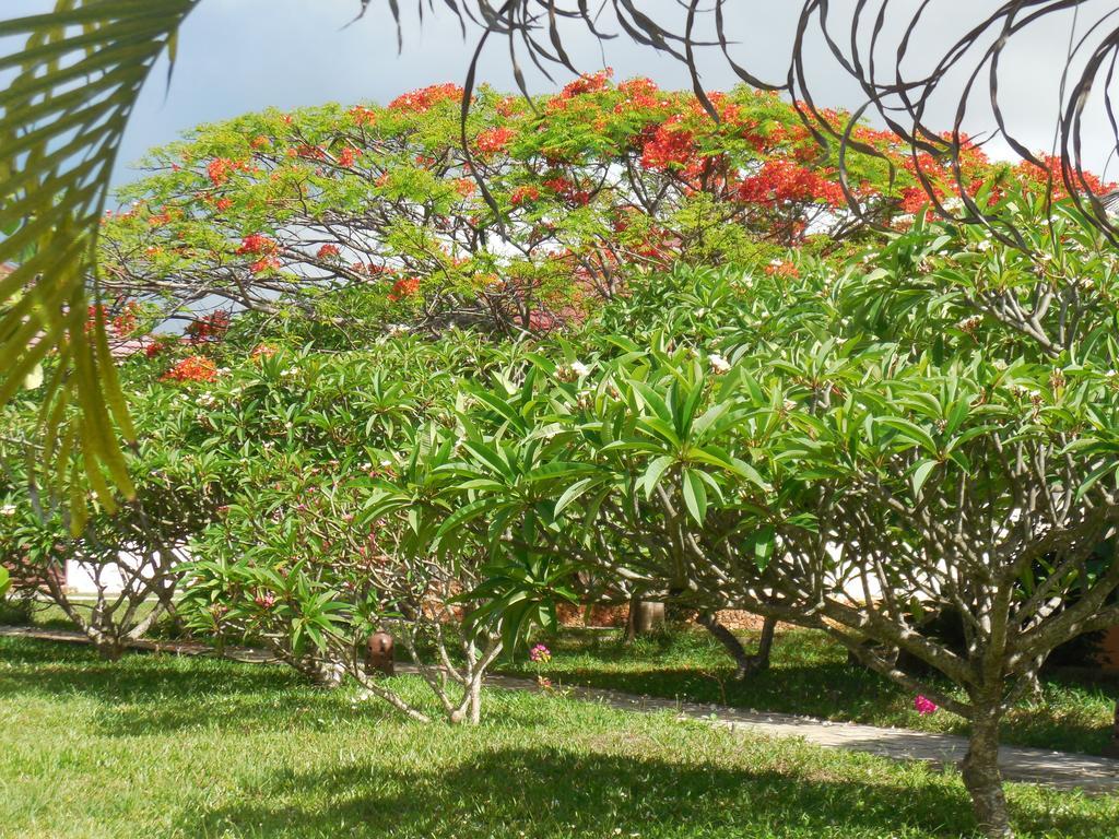 Swahili Beach Resort Zanzibar Dış mekan fotoğraf